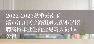2022-2023秋季云南玉溪市江川区宁海街道大街小学招聘高校毕业生就业见习人员4人公告