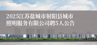 2025江苏盐城市射阳县城市照明服务有限公司聘5人公告