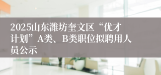 2025山东潍坊奎文区“优才计划”A类、B类职位拟聘用人员公示