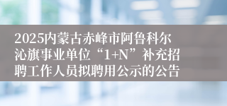 2025内蒙古赤峰市阿鲁科尔沁旗事业单位“1+N”补充招聘工作人员拟聘用公示的公告