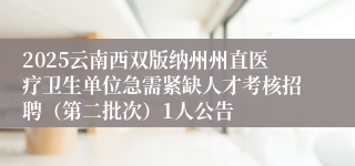 2025云南西双版纳州州直医疗卫生单位急需紧缺人才考核招聘（第二批次）1人公告