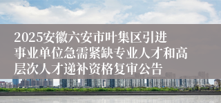 2025安徽六安市叶集区引进事业单位急需紧缺专业人才和高层次人才递补资格复审公告