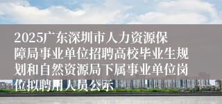 2025广东深圳市人力资源保障局事业单位招聘高校毕业生规划和自然资源局下属事业单位岗位拟聘用人员公示