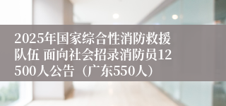 2025年国家综合性消防救援队伍 面向社会招录消防员12500人公告（广东550人）