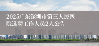 2025广东深圳市第三人民医院选聘工作人员2人公告