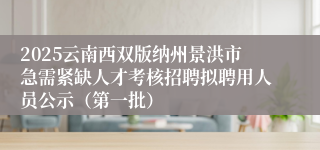 2025云南西双版纳州景洪市急需紧缺人才考核招聘拟聘用人员公示（第一批）
