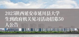 2025陕西延安市延川县大学生到政府机关见习活动招募50人公告