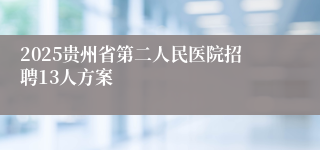 2025贵州省第二人民医院招聘13人方案