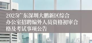 2025广东深圳大鹏新区综合办公室招聘编外人员资格初审合格及考试事项公告