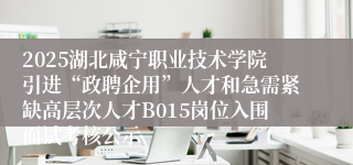2025湖北咸宁职业技术学院引进“政聘企用”人才和急需紧缺高层次人才B015岗位入围面试考核公示