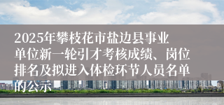 2025年攀枝花市盐边县事业单位新一轮引才考核成绩、岗位排名及拟进入体检环节人员名单的公示