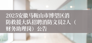 2025安徽马鞍山市博望区消防救援大队招聘消防文员2人（财务助理岗）公告