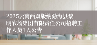 2025云南西双版纳勐海县黎明农场集团有限责任公司招聘工作人员1人公告