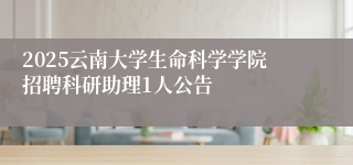 2025云南大学生命科学学院招聘科研助理1人公告