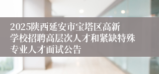 2025陕西延安市宝塔区高新学校招聘高层次人才和紧缺特殊专业人才面试公告