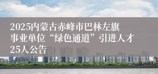 2025内蒙古赤峰市巴林左旗事业单位“绿色通道”引进人才25人公告