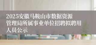 2025安徽马鞍山市数据资源管理局所属事业单位招聘拟聘用人员公示