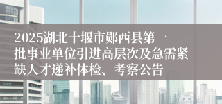 2025湖北十堰市郧西县第一批事业单位引进高层次及急需紧缺人才递补体检、考察公告