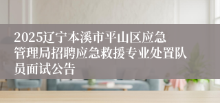 2025辽宁本溪市平山区应急管理局招聘应急救援专业处置队员面试公告