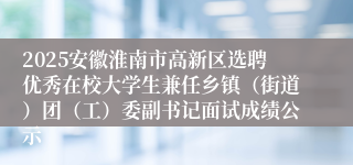 2025安徽淮南市高新区选聘优秀在校大学生兼任乡镇（街道）团（工）委副书记面试成绩公示