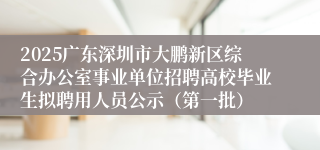 2025广东深圳市大鹏新区综合办公室事业单位招聘高校毕业生拟聘用人员公示（第一批）