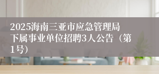 2025海南三亚市应急管理局下属事业单位招聘3人公告（第1号）