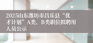 2025山东潍坊市昌乐县“优才计划”A类、B类职位拟聘用人员公示
