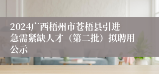 2024广西梧州市苍梧县引进急需紧缺人才（第二批）拟聘用公示