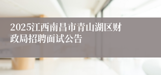 2025江西南昌市青山湖区财政局招聘面试公告