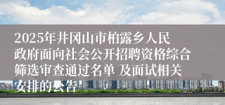 2025年井冈山市柏露乡人民政府面向社会公开招聘资格综合筛选审查通过名单 及面试相关安排的公告