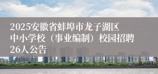 2025安徽省蚌埠市龙子湖区中小学校（事业编制）校园招聘26人公告