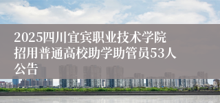 2025四川宜宾职业技术学院招用普通高校助学助管员53人公告