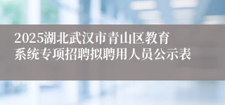 2025湖北武汉市青山区教育系统专项招聘拟聘用人员公示表