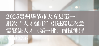 2025贵州毕节市大方县第一批次“人才强市”引进高层次急需紧缺人才（第一批）面试测评成绩公示