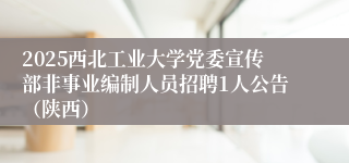 2025西北工业大学党委宣传部非事业编制人员招聘1人公告（陕西）