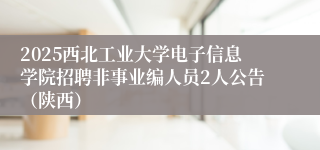 2025西北工业大学电子信息学院招聘非事业编人员2人公告（陕西）