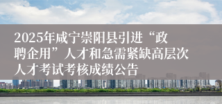 2025年咸宁崇阳县引进“政聘企用”人才和急需紧缺高层次人才考试考核成绩公告