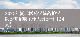 2025年湖北医药学院药护学院公开招聘工作人员公告【24人】