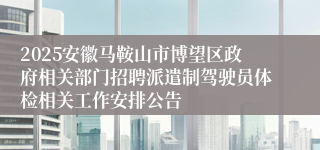 2025安徽马鞍山市博望区政府相关部门招聘派遣制驾驶员体检相关工作安排公告