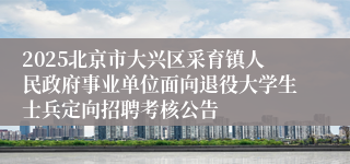 2025北京市大兴区采育镇人民政府事业单位面向退役大学生士兵定向招聘考核公告