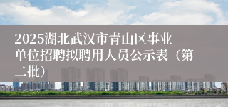 2025湖北武汉市青山区事业单位招聘拟聘用人员公示表（第二批）