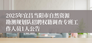 2025年宜昌当阳市自然资源勘测规划队招聘权籍调查专班工作人员1人公告