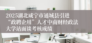 2025湖北咸宁市通城县引进“政聘企用”人才中南财经政法大学站面谈考核成绩                                    	                                                                        2025-07-08