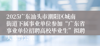 2025广东汕头市潮阳区城南街道下属事业单位参加“广东省事业单位招聘高校毕业生”拟聘人选的公示