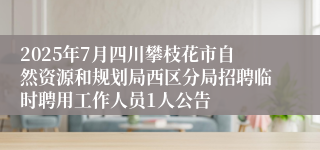 2025年7月四川攀枝花市自然资源和规划局西区分局招聘临时聘用工作人员1人公告