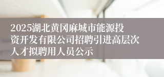 2025湖北黄冈麻城市能源投资开发有限公司招聘引进高层次人才拟聘用人员公示