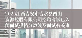2025江西吉安市吉水县两山资源控股有限公司招聘考试已入闱面试投档分数线及面试有关事项公告