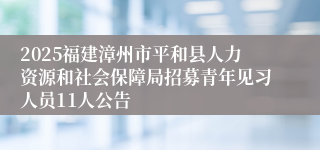 2025福建漳州市平和县人力资源和社会保障局招募青年见习人员11人公告