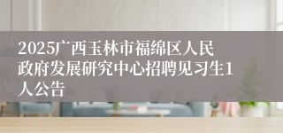 2025广西玉林市福绵区人民政府发展研究中心招聘见习生1人公告