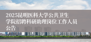 2025昆明医科大学公共卫生学院招聘科研助理岗位工作人员公告